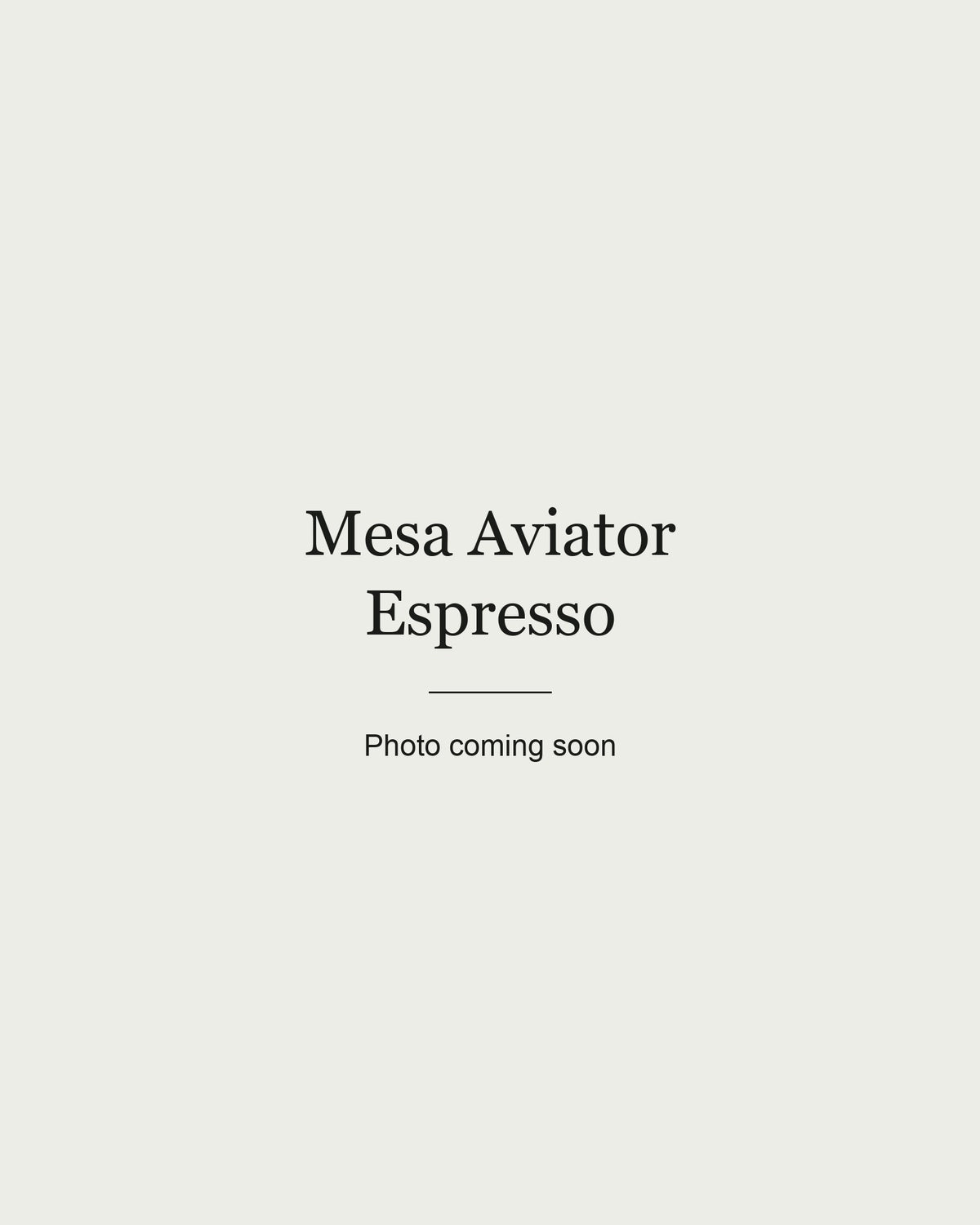 Mesa square double-bridge aviator sunglasses in Espresso, front view